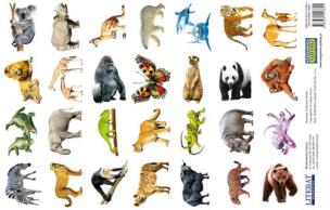 Opakowanie Naklejki Zwierzęta świata