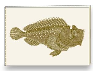 Opakowanie Notatnik ozdobny A5 BR NB S31 A ROSSI