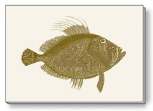 Opakowanie Notes ozdobny A5 BR NP S28 C ROSSI