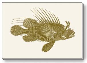 Opakowanie Notes ozdobny A6 BR NP S30 B ROSSI