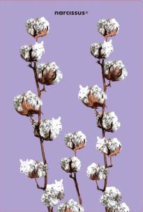 Opakowanie Teczka A4 Cotton