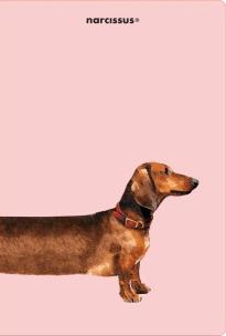 Opakowanie Teczka A4 Overgrown