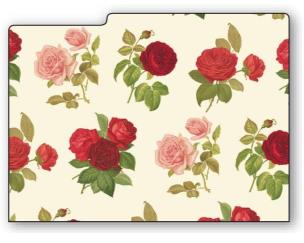 Opakowanie Teczka na dokumenty FF 534A (3szt) ROSSI