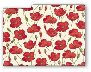 Opakowanie Teczka na dokumenty FF 583A (3szt) ROSSI