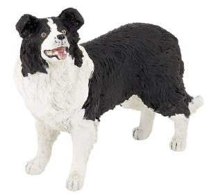 Opakowanie Border collie