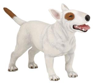 Opakowanie Bulterier