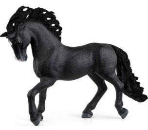 Opakowanie Hiszpański ogier