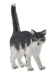 Opakowanie Kot biało-czarny