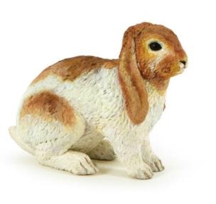 Opakowanie Królik Holland Lop