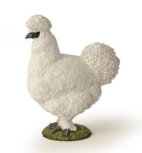 Opakowanie Kura jedwabista