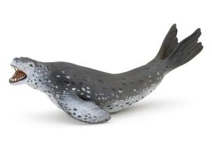 Opakowanie Lampart morski