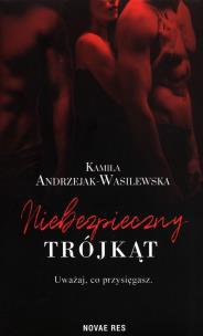 Niebezpieczny trójkąt. Autor: Kamila Andrzejak-Wasilewska. Multiszop.pl Okładka książki Niebezpieczny trójkąt
