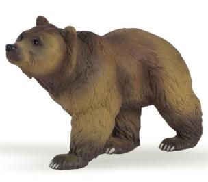 Opakowanie Niedźwiedź pirenejski