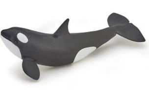 Opakowanie Orka młoda