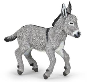 Opakowanie Osioł prowansalski mlody