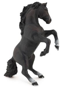 Okładka książki Papo Czarny koń stojący (51522)