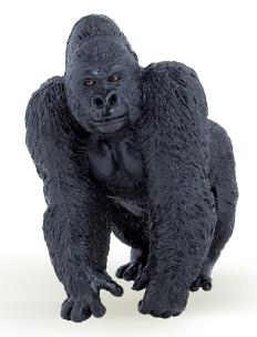 Okładka książki Papo Goryl (50034)