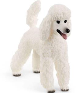 Opakowanie Pudel duży