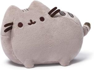 Opakowanie Pusheen 30cm
