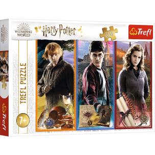 Opakowanie Puzzle 200 W świecie magii i czarów Harry Potter 13277