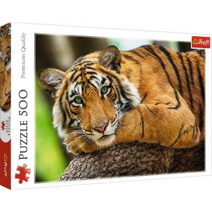 Opakowanie Puzzle 500 Portret tygrysa 37397