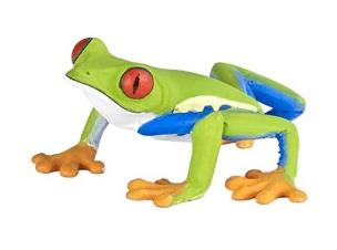 Opakowanie Rzekotka czerwonooka