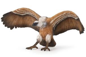 Opakowanie Sęp płowy