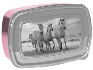 Opakowanie Śniadaniówka Horses PP21HO-3022 PASO
