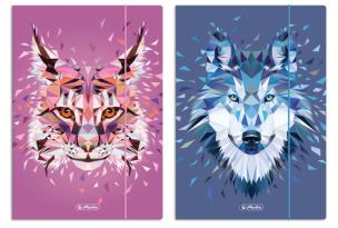 Opakowanie Teczka rysunkowa A4 z gumką Wild animals