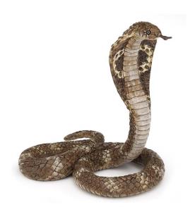 Opakowanie Wilk młody