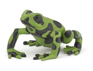 Opakowanie Żaba równikowa zielona