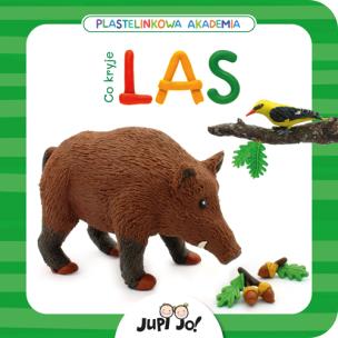 Okładka książki Plastelinkowa akademia Co kryje las?