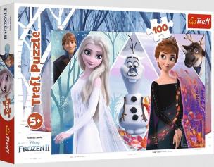 Opakowanie Puzzle 100 Zaczarowana Kraina TREFL