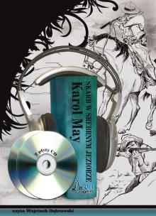 Okładka książki Skarb w srebrnym jeziorze Audiobook QES - Audiobook