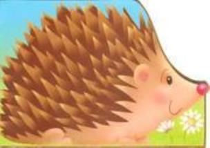 Okładka książki Wykrojnik - Jeż FK