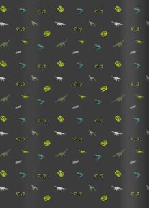 Opakowanie Zeszyt A5/16K kratka Dino (20szt)