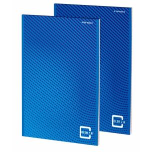 Opakowanie Blok notatnikowy A5/50K kratka Color 2.0 (10szt)