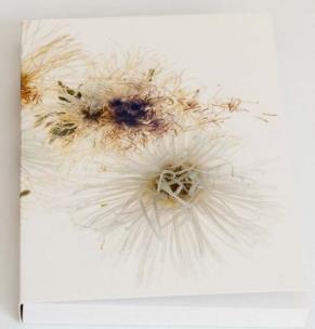 Opakowanie Notes kwiaty Aster