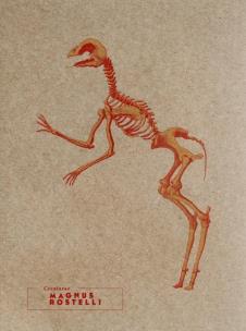 Opakowanie Notes Magnus Rostelli