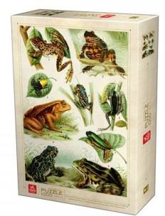 Opakowanie Puzzle 1000 Encyklopedia - Żaby