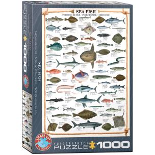 Opakowanie Puzzle 1000 Ryba morska 6000-0313