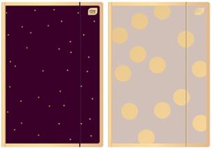 Opakowanie Teczka z gunmką A4+ Satin Gold 3 (10szt)