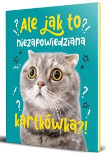 Opakowanie Brulion A4/96K kratka AleJakTo-01