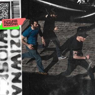 Opakowanie CD Dziwna Wiosna