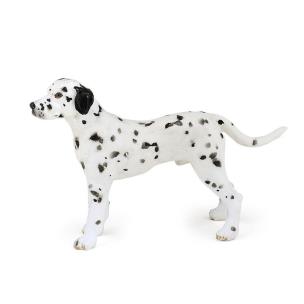 Opakowanie Dalmatyńczyk