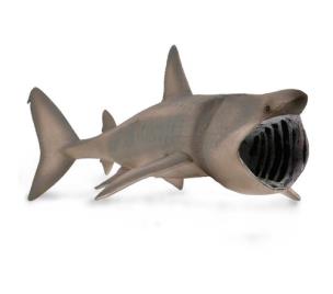 Opakowanie Długoszpar XL