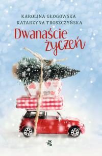 Dwanaście życzeń - uszkodzone. Autor: Karolina Głogowska, Katarzyna Troszczyńska. Multiszop.pl Okładka książki Dwanaście życzeń - uszkodzone