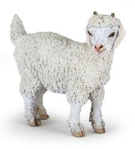 Opakowanie Koza angorska młoda