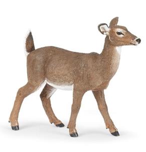 Opakowanie Łania mulaka białoogonowego