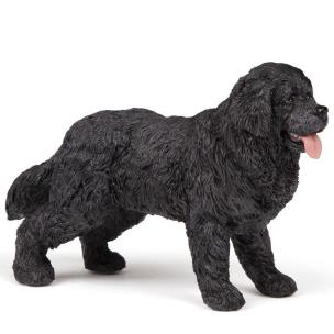 Opakowanie Nowofundland